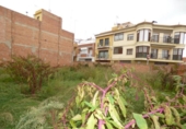 Sòl urbà en venda a la España, Malgrat de Mar, ref.: TR114966 foto