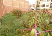 Sòl urbà en venda a la España, Malgrat de Mar, ref.: TR114966 foto