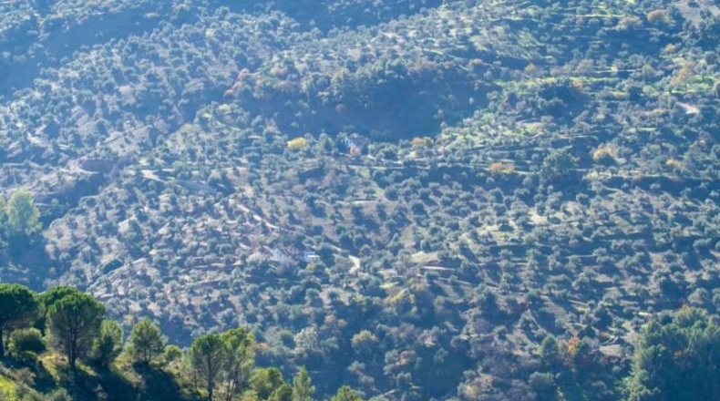 Málaga - Yunquera - 33556m2