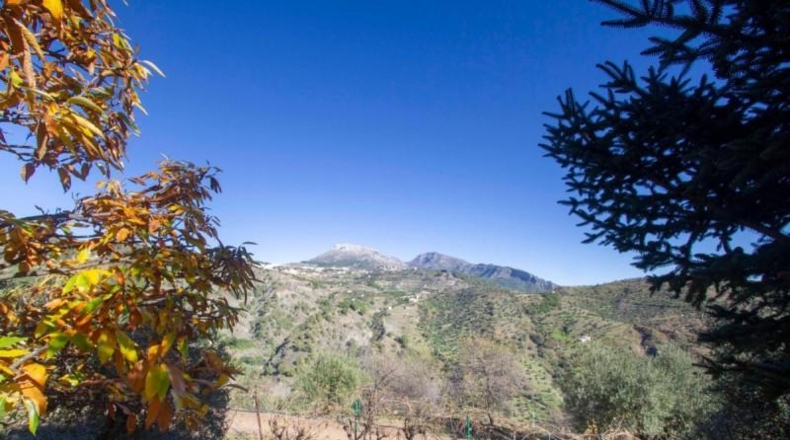 Málaga - Yunquera - 33556m2