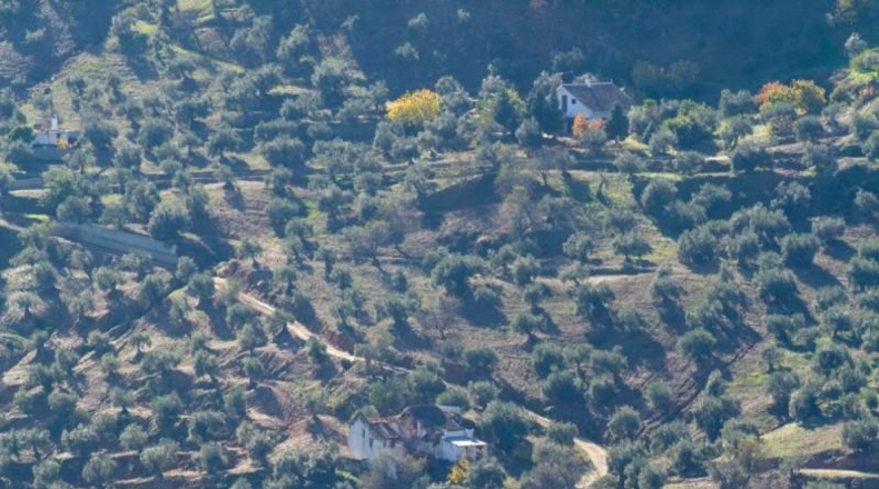 Málaga - Yunquera - 33556m2