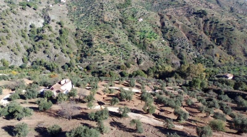 Málaga - Yunquera - 33556m2