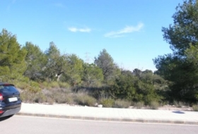 Foto 12