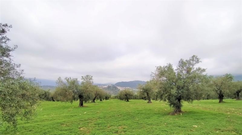 Málaga - Alozaina - 120000m2