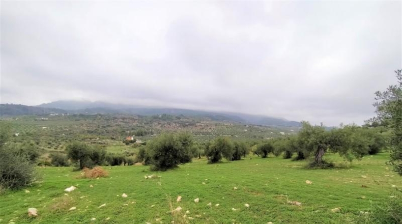 Málaga - Alozaina - 120000m2