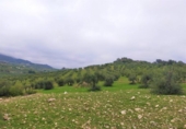 Xalet independent amb terreny en venda a la España, Alozaina, ref.: TR136006 foto