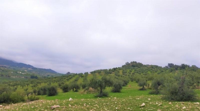 Málaga - Alozaina - 120000m2