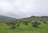 Xalet independent amb terreny en venda a la España, Alozaina, ref.: TR136006 foto