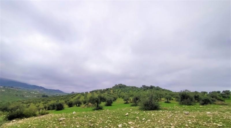Málaga - Alozaina - 120000m2