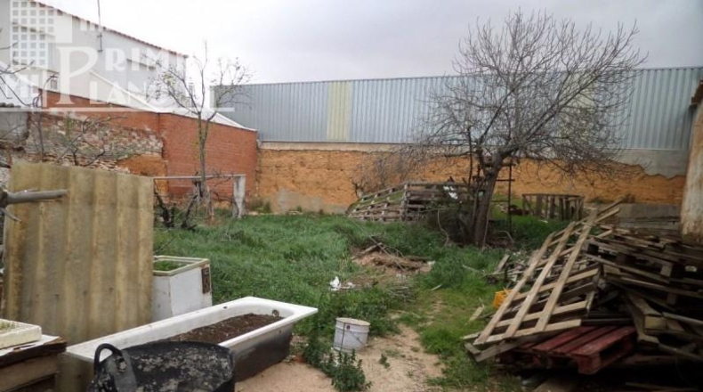 Ciudad Real - Tomelloso - 1100m2