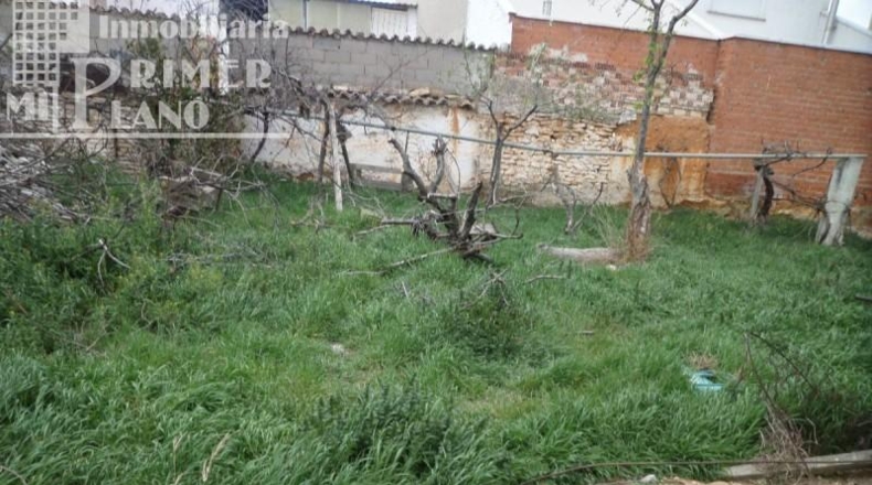 Ciudad Real - Tomelloso - 1100m2