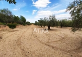 Xalet independent amb terreny en venda a la España, Ontinyent, ref.: TR141759 foto