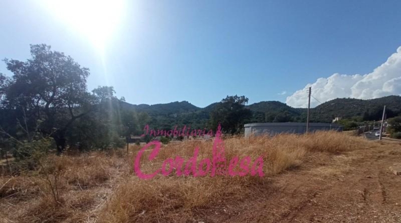 Córdoba - Córdoba - 1500m2