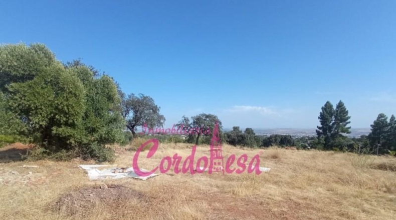 Córdoba - Córdoba - 1500m2