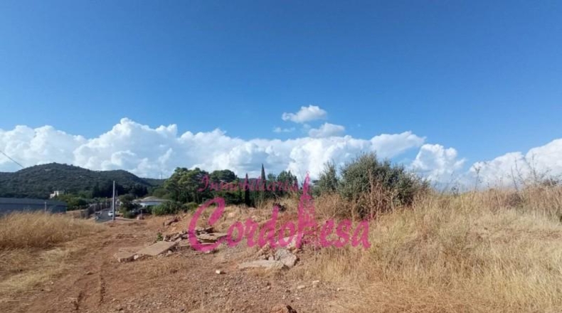 Córdoba - Córdoba - 1500m2