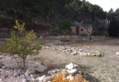 Xalet independent amb terreny en venda a la España, Petrer, ref.: TR143153 foto