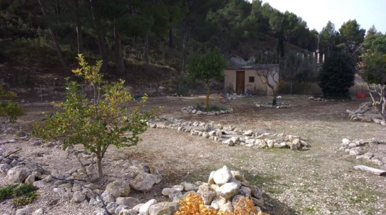 Alicante - Petrer - 10000m2