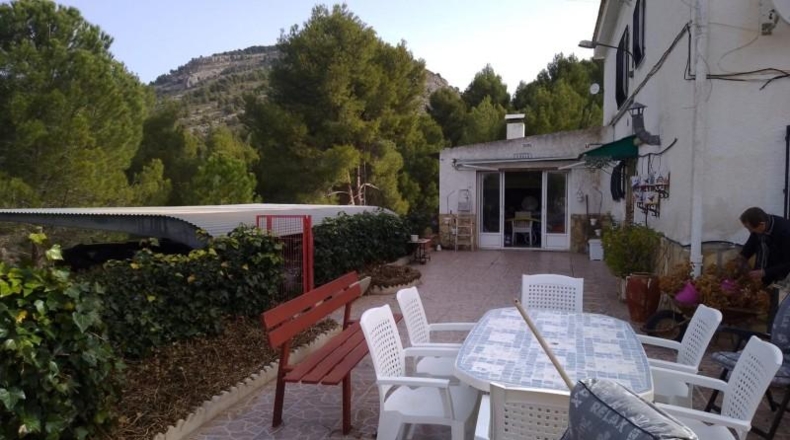 Alicante - Petrer - 10000m2