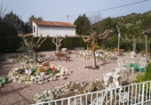 Xalet independent amb terreny en venda a la España, Petrer, ref.: TR143153 foto