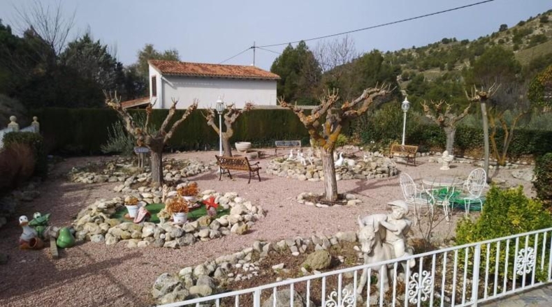 Alicante - Petrer - 10000m2