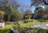 Non-developable land for sale on España, Encinarejo de Córdoba, ref: TR120775 photo