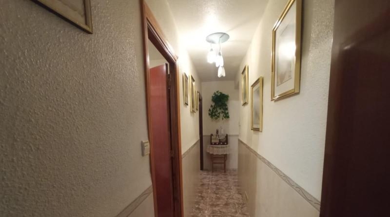 Murcia - Torre-Pacheco - 1556m2