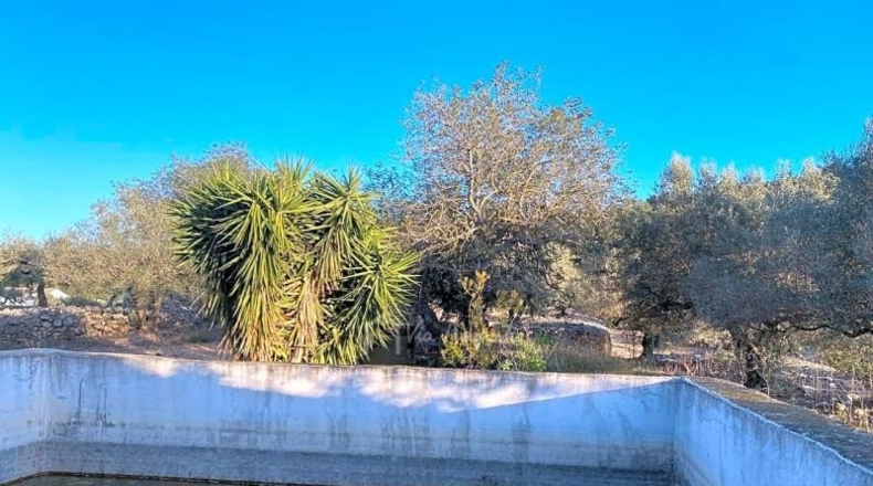 Tarragona - el Perelló - 33399m2