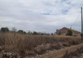 Chalet independiente con terreno en venta en la España, Monóvar, ref: TR146065 foto