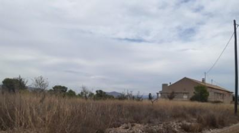 Alicante - Monóvar - 40000m2