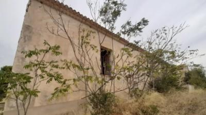 Alicante - Monóvar - 40000m2
