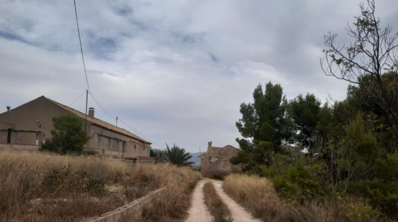 Alicante - Monóvar - 40000m2
