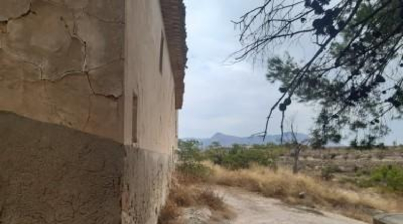 Alicante - Monóvar - 40000m2