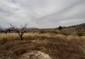 Chalet independiente con terreno en venta en la España, Monóvar, ref: TR146065 foto