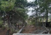 Chalet independiente con terreno en venta en la España, Monóvar, ref: TR146065 foto