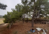 Chalet independiente con terreno en venta en la España, Monóvar, ref: TR146065 foto