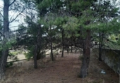 Chalet independiente con terreno en venta en la España, Monóvar, ref: TR146065 foto