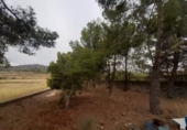 Chalet independiente con terreno en venta en la España, Monóvar, ref: TR146065 foto