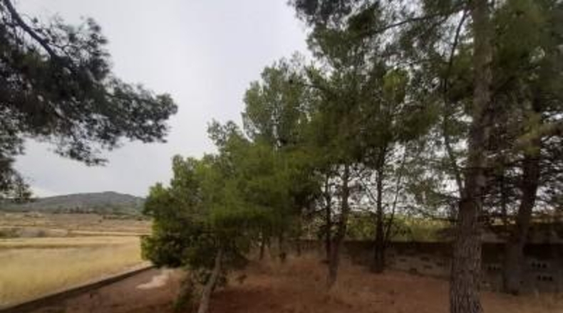 Alicante - Monóvar - 40000m2