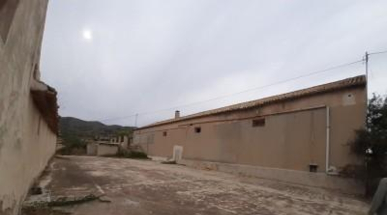 Alicante - Monóvar - 40000m2