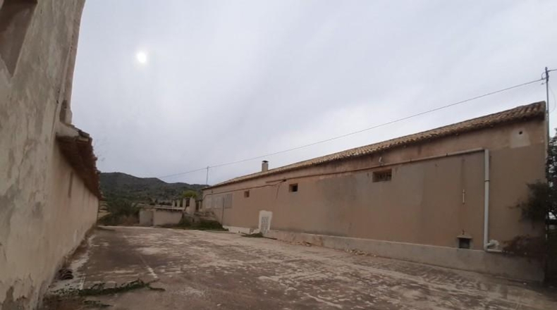 Alicante - Monóvar - 40000m2