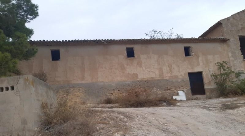 Alicante - Monóvar - 40000m2