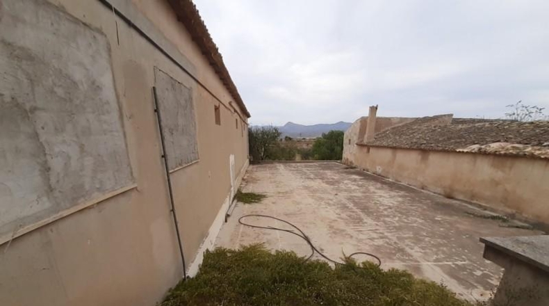 Alicante - Monóvar - 40000m2