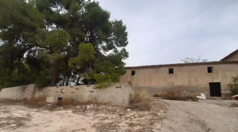 Alicante - Monóvar - 40000m2