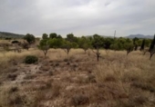 Chalet independiente con terreno en venta en la España, Monóvar, ref: TR146065 foto