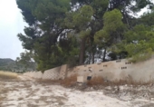 Chalet independiente con terreno en venta en la España, Monóvar, ref: TR146065 foto