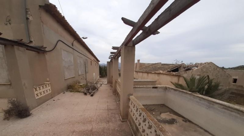 Alicante - Monóvar - 40000m2