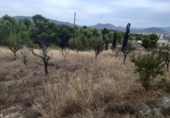 Chalet independiente con terreno en venta en la España, Monóvar, ref: TR146065 foto