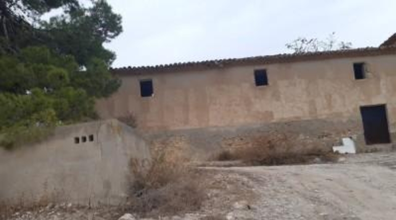 Alicante - Monóvar - 40000m2