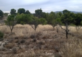 Chalet independiente con terreno en venta en la España, Monóvar, ref: TR146065 foto
