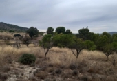 Chalet independiente con terreno en venta en la España, Monóvar, ref: TR146065 foto